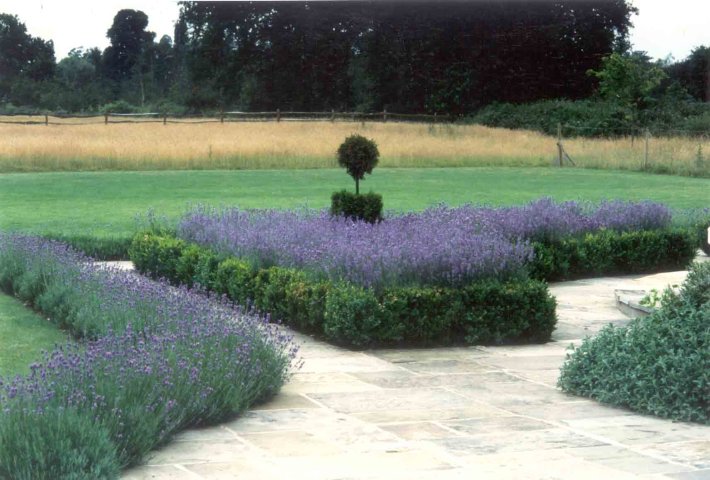Surrey Garden